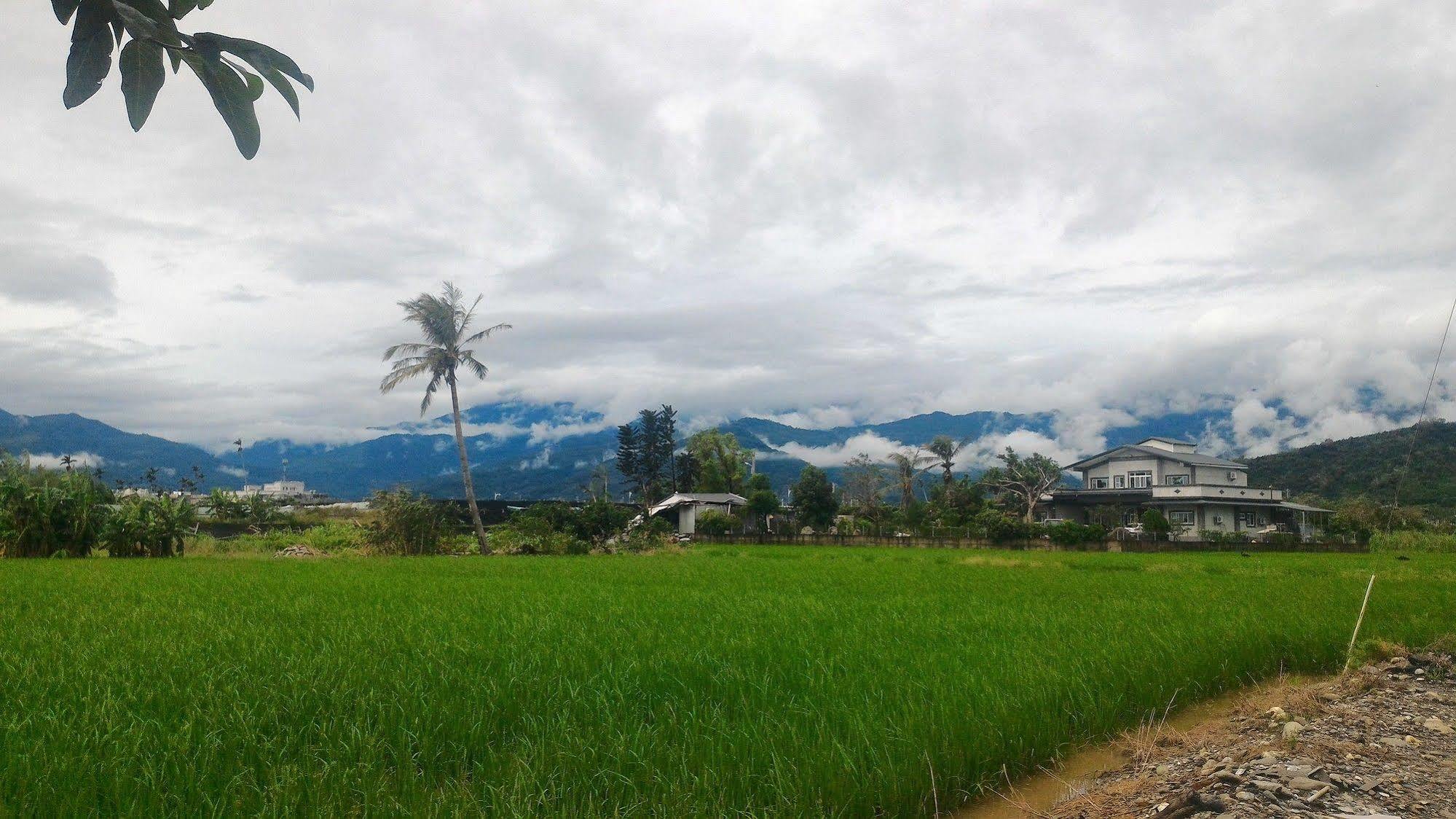 Taitung Travel Hostel エクステリア 写真